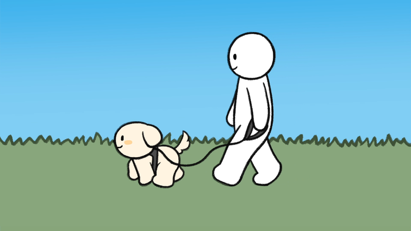 Dog_wanna_play_2_3