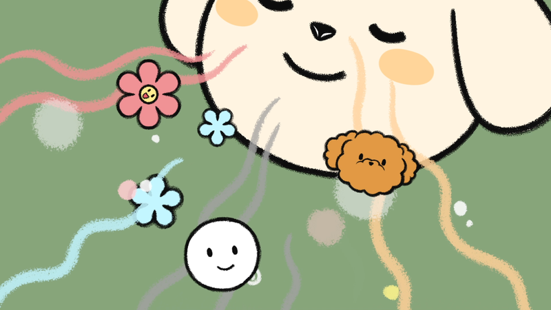 Dogs_like_hate_5_1