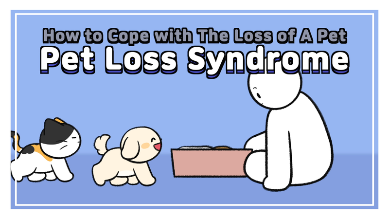 Pet_loss_0_