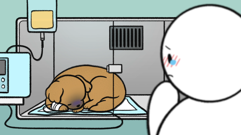 Pet_loss_1_2