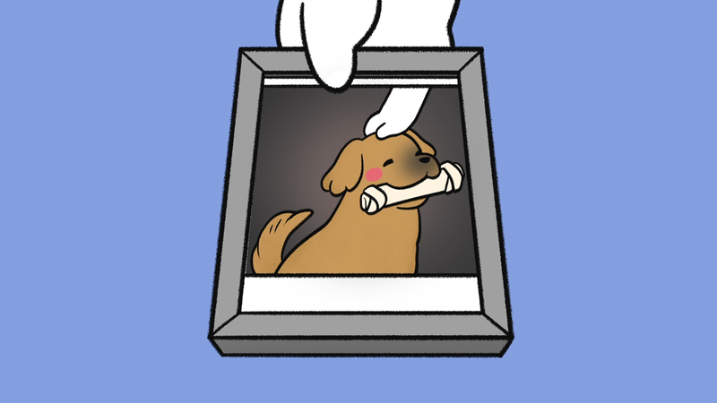 Pet_loss_3_2