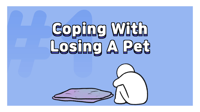Pet_loss__1