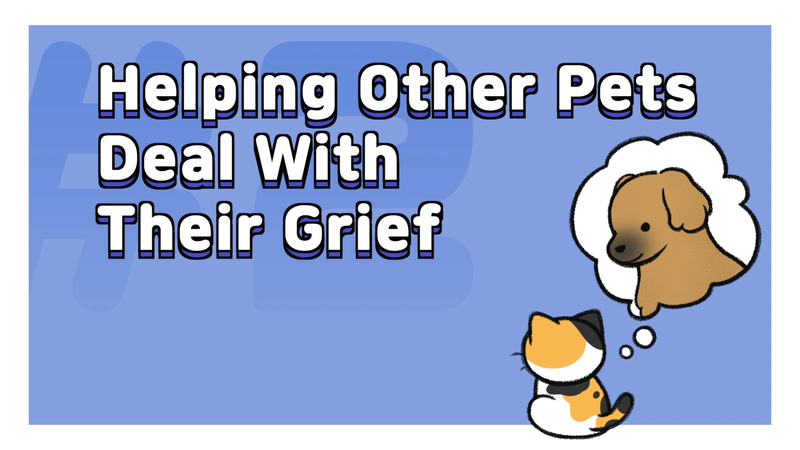 Pet_loss__2