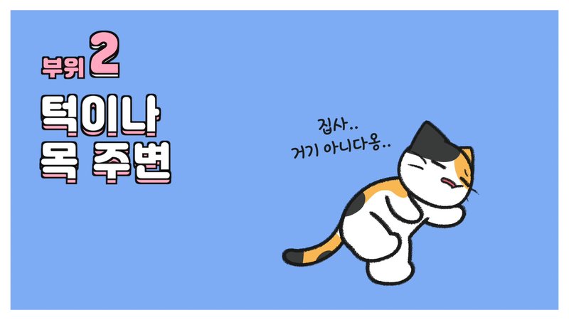 cách vuốt ve mèo