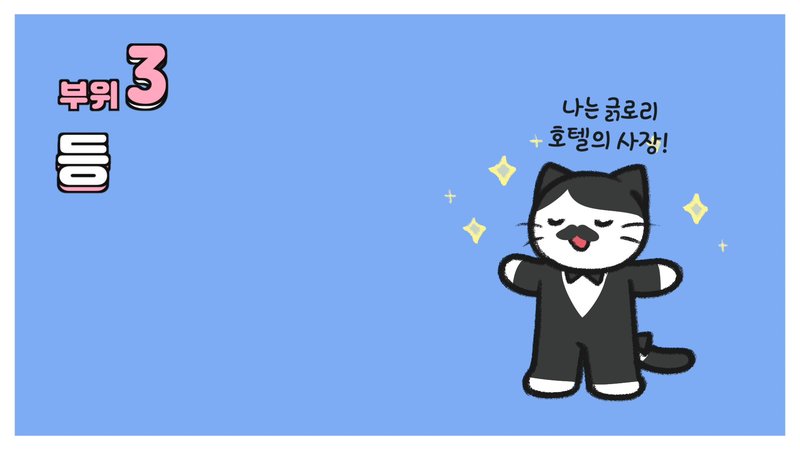 cách vuốt ve mèo