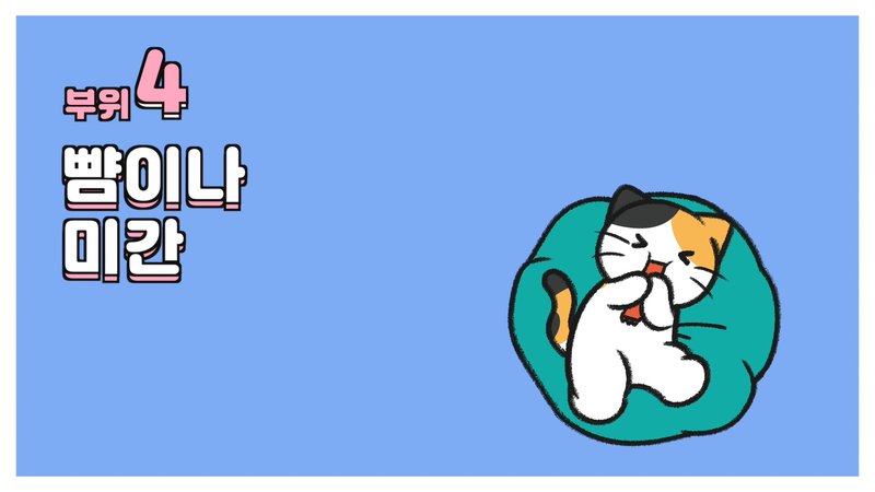 cách vuốt ve mèo