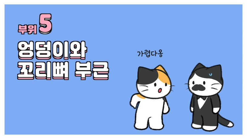 cách vuốt ve mèo