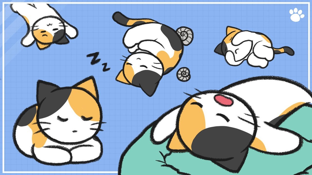 고양이수면자세_썸네일