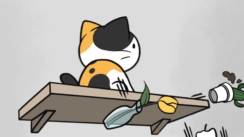 living_with_aCat_2_2