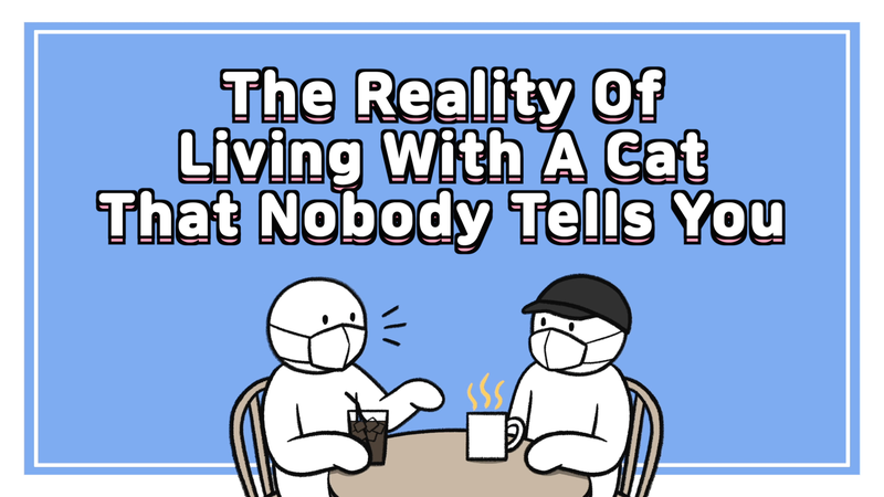 living_with_a_cat_0_