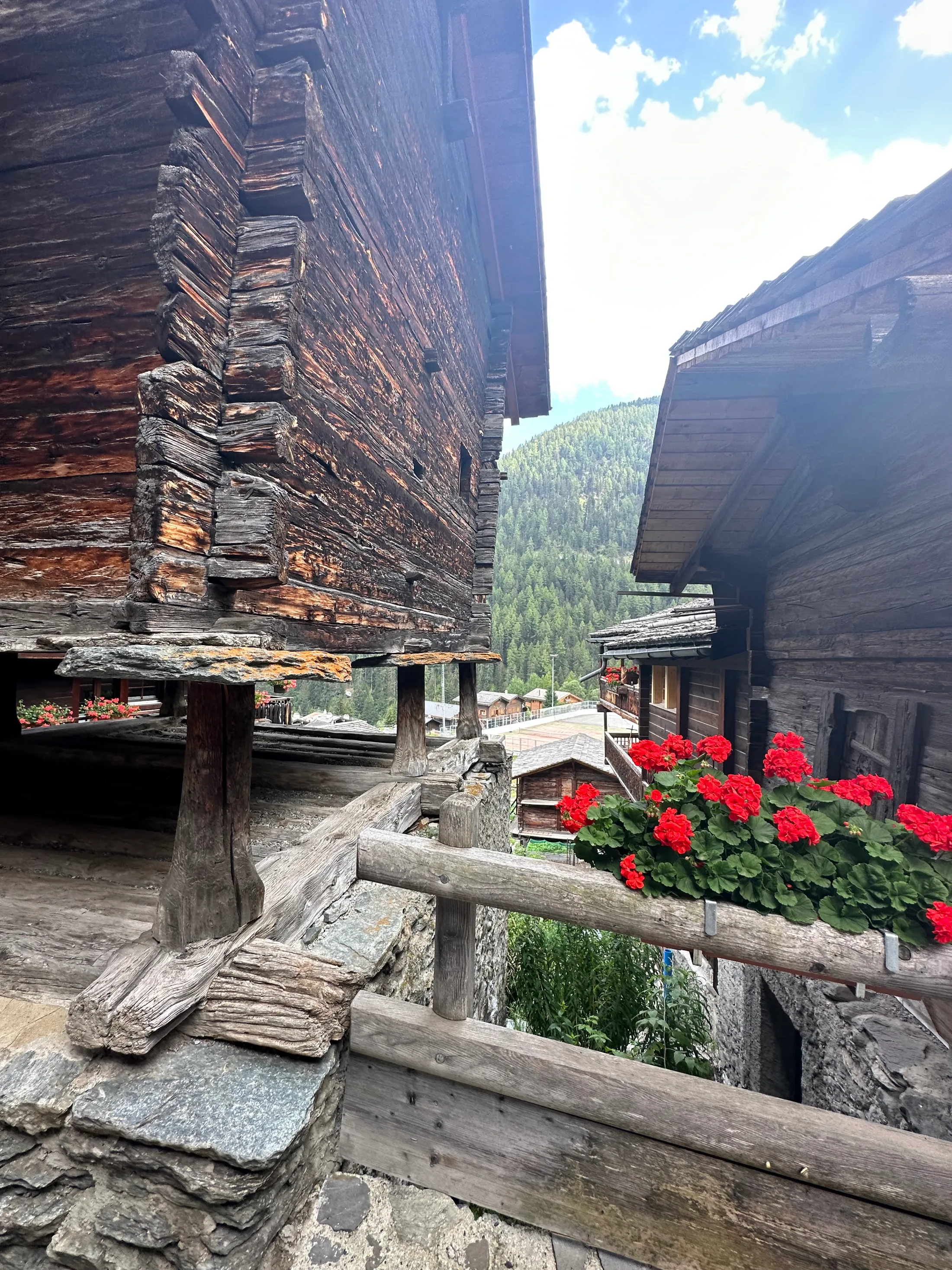 Geranium-clad mazots in Grimentz, one of the best-preserved timber villages in the Valais.