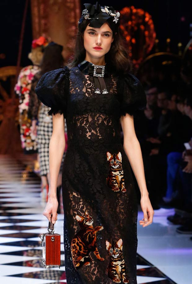 Bengal Cats on the Catwalk at Dolce & Gabbana's Fall Show