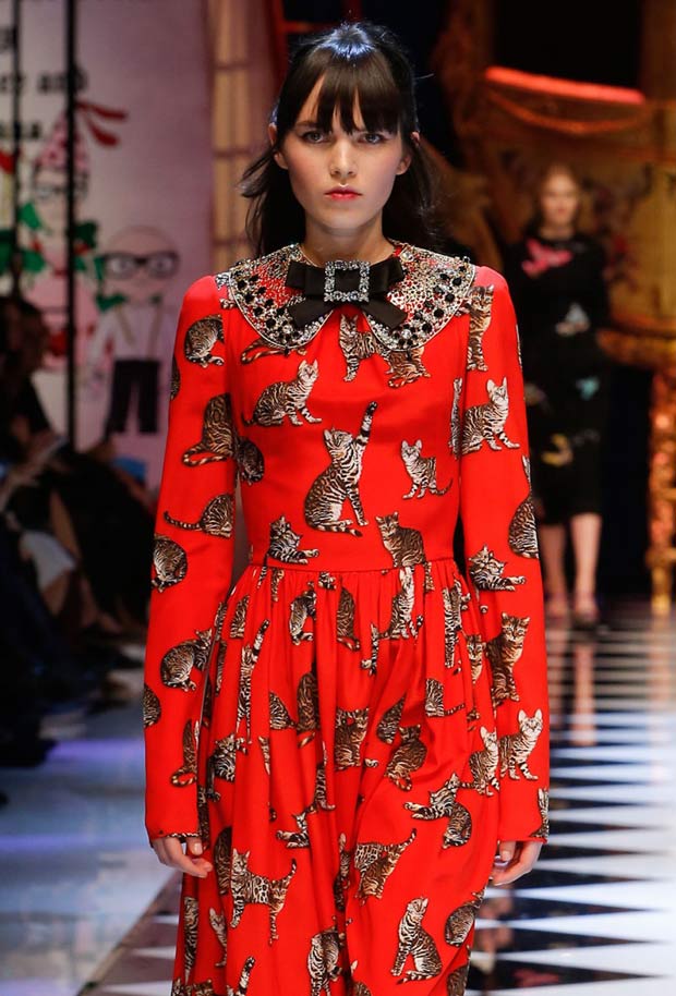 Bengal Cats on the Catwalk at Dolce & Gabbana's Fall Show