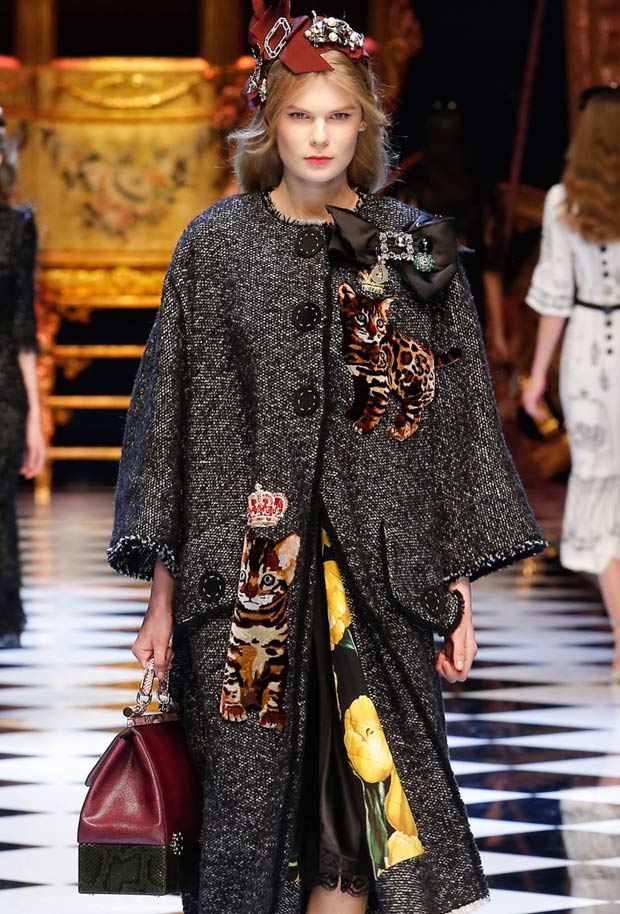 Bengal Cats on the Catwalk at Dolce & Gabbana's Fall Show