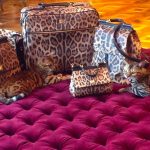 Bengals with leopard-print accessories