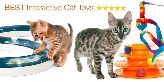 best interactive toy cat