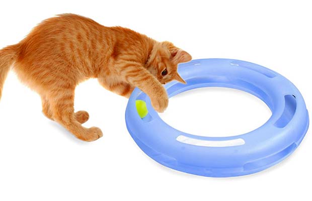 The 16 Best Interactive Cat Toys in 2022