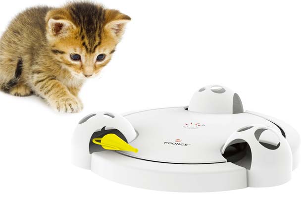 best interactive cat toys