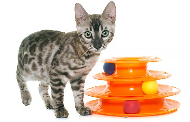 Petstages Tower of Tracks Cat Toy