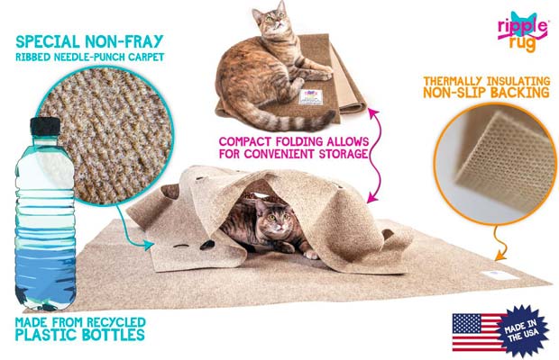 The 16 Best Interactive Cat Toys in 2022