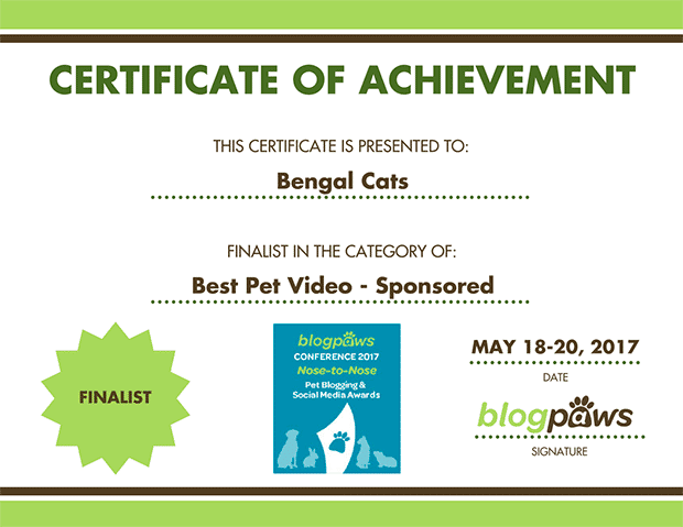 Blogpaws sponsored video finalist