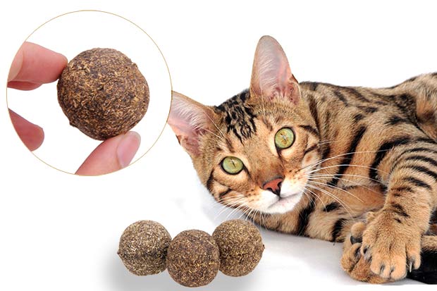 Catnip balls