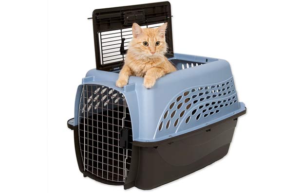 Best Cat Travel Carrier For Your Next Trip