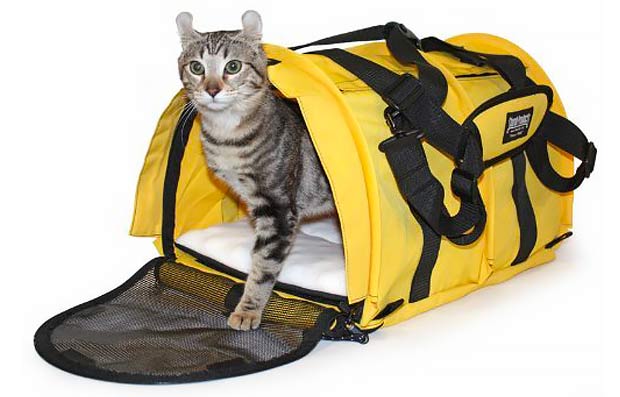 Best Cat Travel Carrier For Your Next Trip