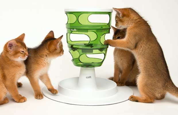 The 13 Best Cat Treat Dispenser