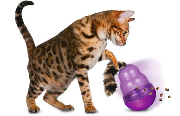 Cat Automatic Feeder Toy  Stylish Pet Treat Shaker Ball Dispenser –  CatCurio Pet Store