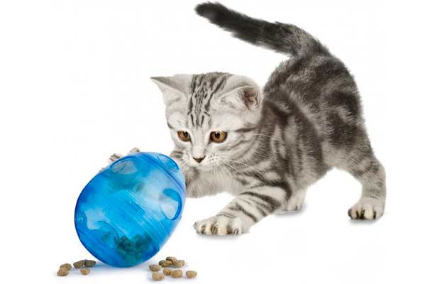 aosui cat treat toy?best cat toys for bored cats?cat treat