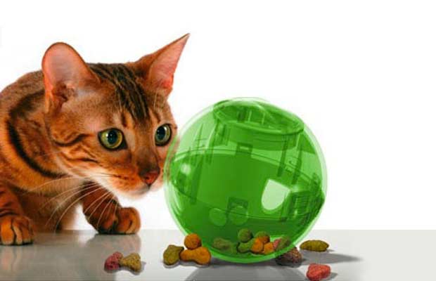 aosui cat treat toy?best cat toys for bored cats?cat treat dispenser?treat  dispensing cat