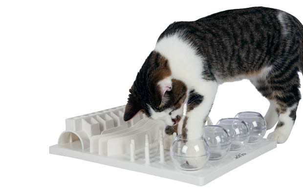 The 13 Best Cat Treat Dispenser