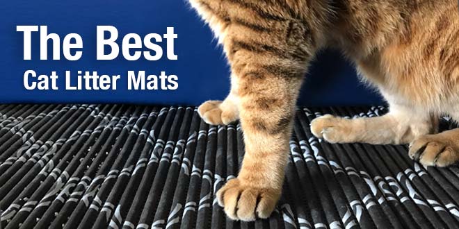 The Best Cat Litter Mat to Reduce Litter Tracking