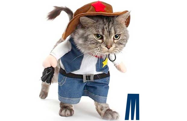 The Best Halloween Costumes For Cats