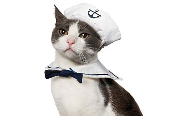 The Best Halloween Costumes For Cats