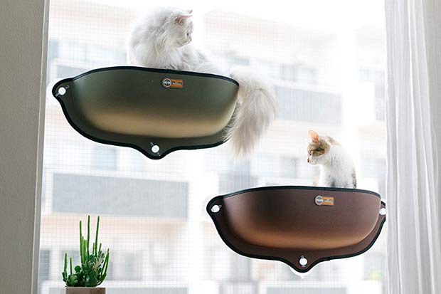 The Best Cat Window Perch for Your Curious Kitty