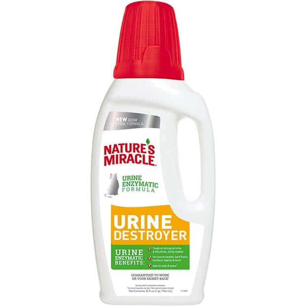 The Best Enzyme Cleaner for Cat Urine Removal