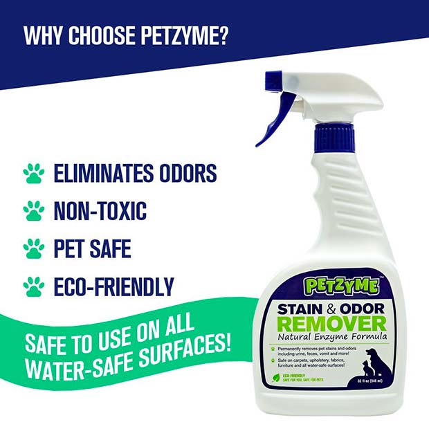 The Best Enzyme Cleaner for Cat Urine Removal