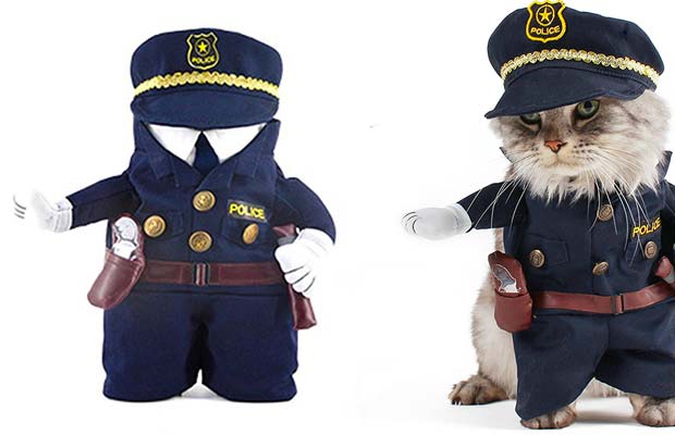 Homemade Cop Costume for Cats, DIY Costumes Under $35