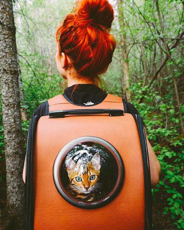 Suki Cat, The Canadian Hiking Cat Who Loves Adventures