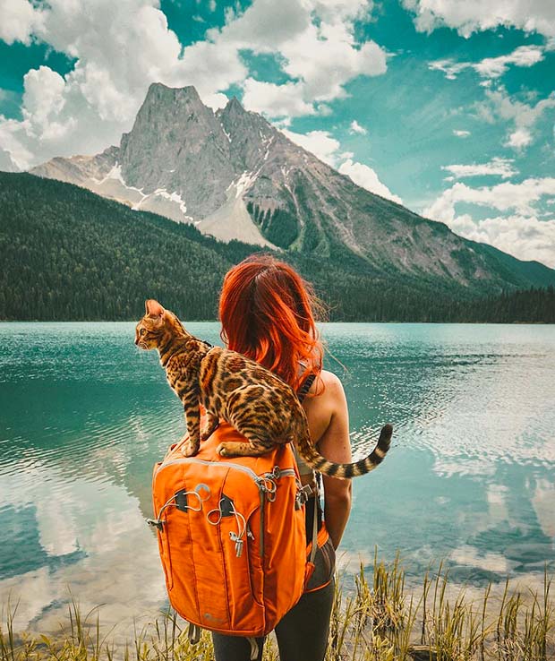 Suki Cat, The Canadian Hiking Cat Who Loves Adventures