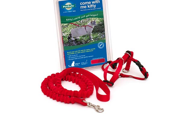 PetSafe Come with Me Kitty Harness and Bungee Leash