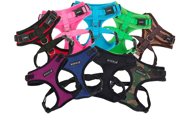 Puppia cat harness