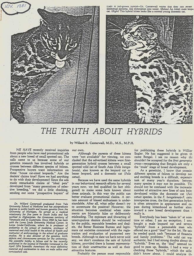 The Bengal Cat Origin