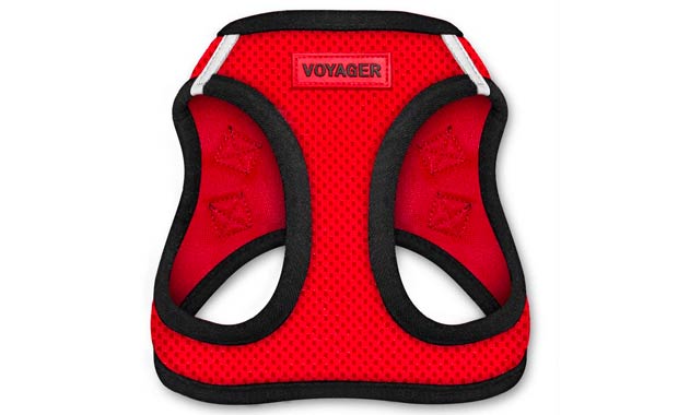 Voyager Step-in Mesh Harness