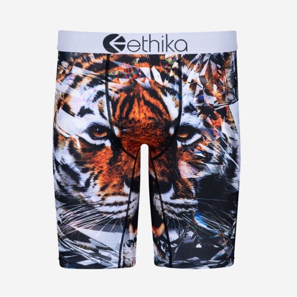 Ethics Mens Boxers Brief