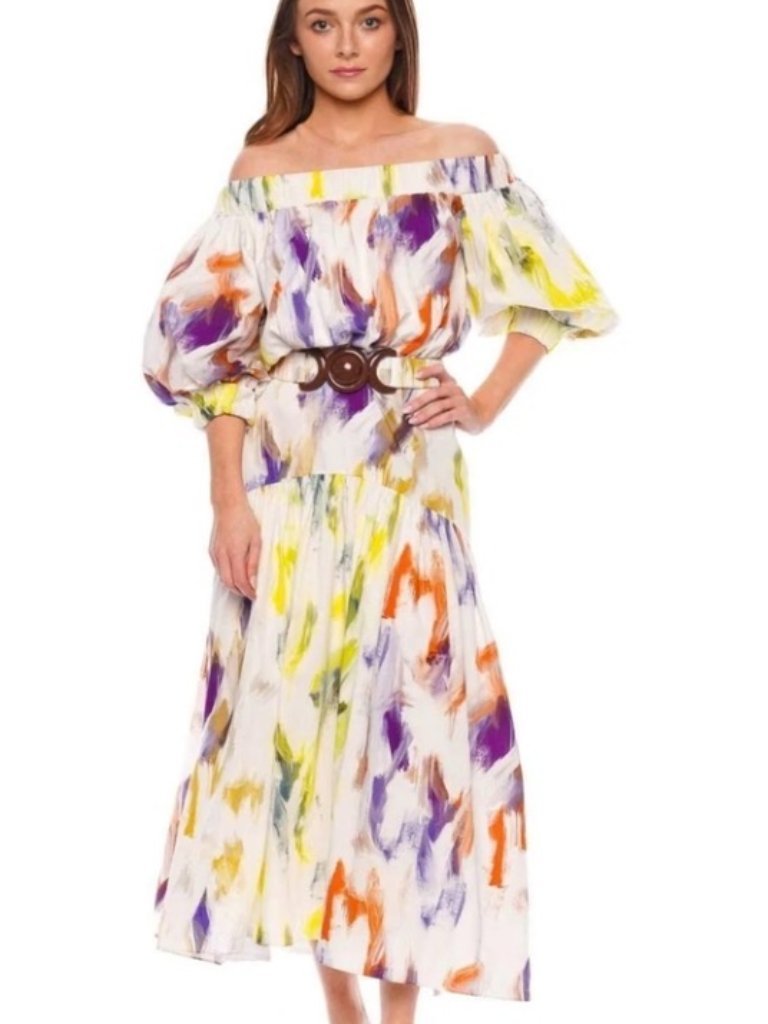Nwot Silvia Tcherassi Sindone Multi Print Brushstroke Belted Midi Dress. Size S