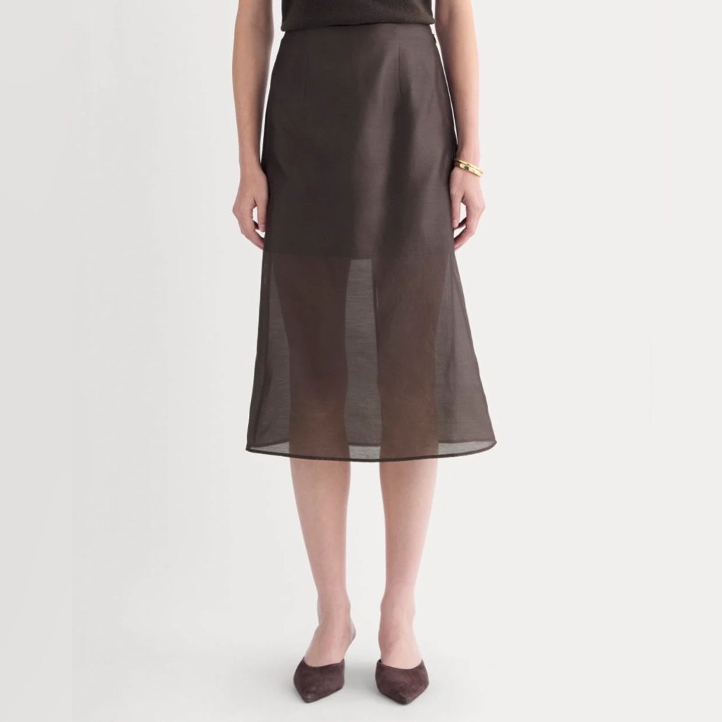 Nwt Everlane Organza Midi Skirt