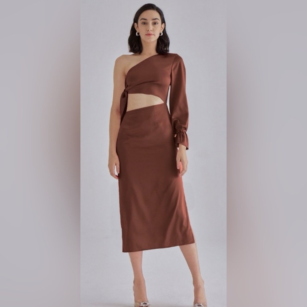 Silk Maison Nwt Pink Palace One Shoulder Dress In Brown